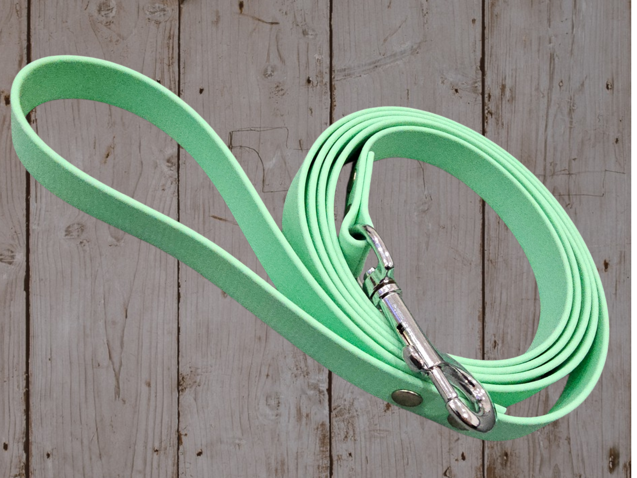 Biothane-Leine „Leander“